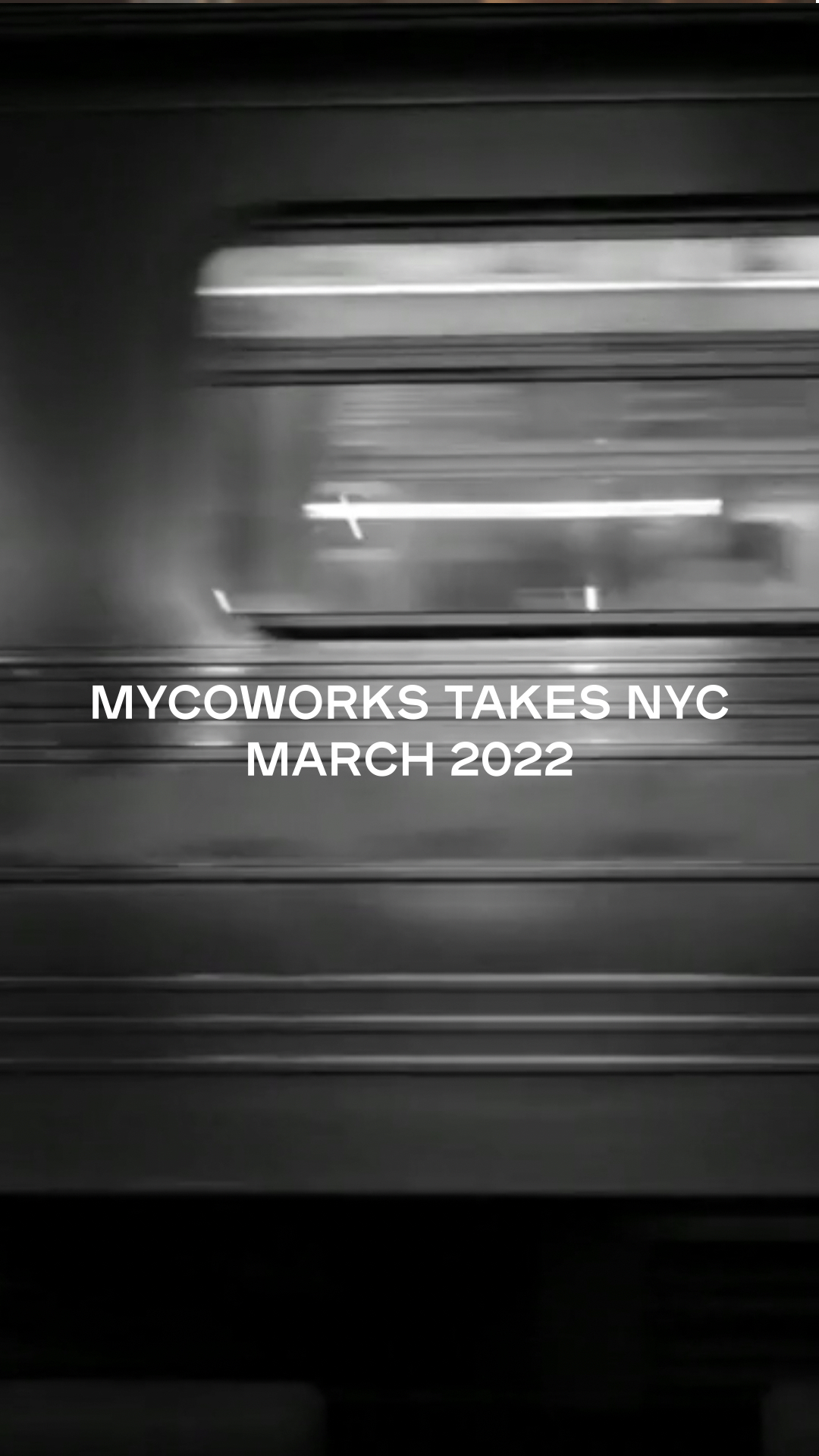 NYC Teaser