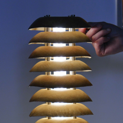Reishi In the Nordic Light