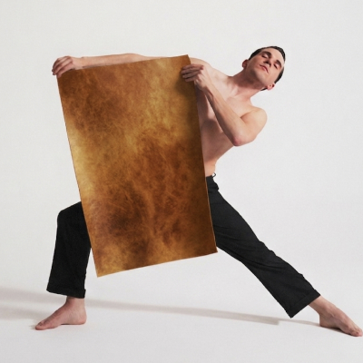 Reishi Mycelium Leather