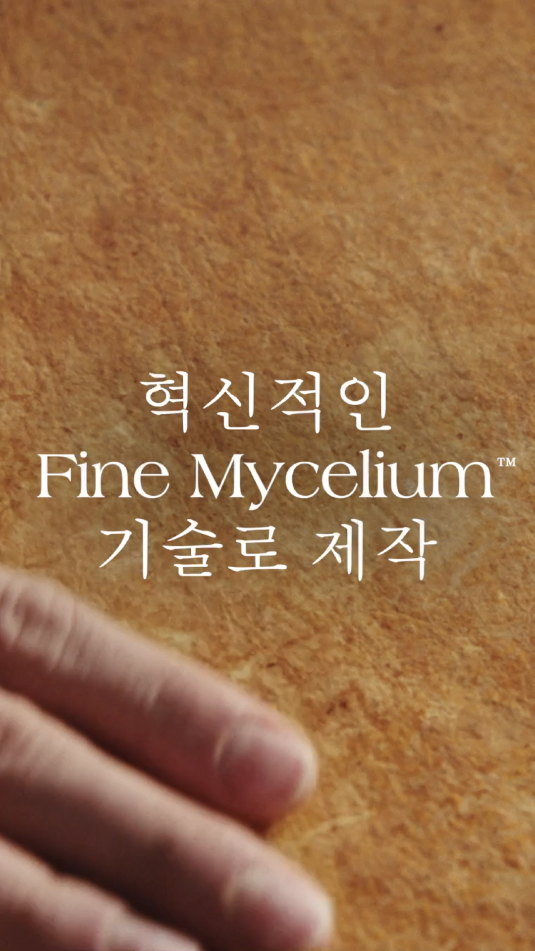 Korean Launch Ad